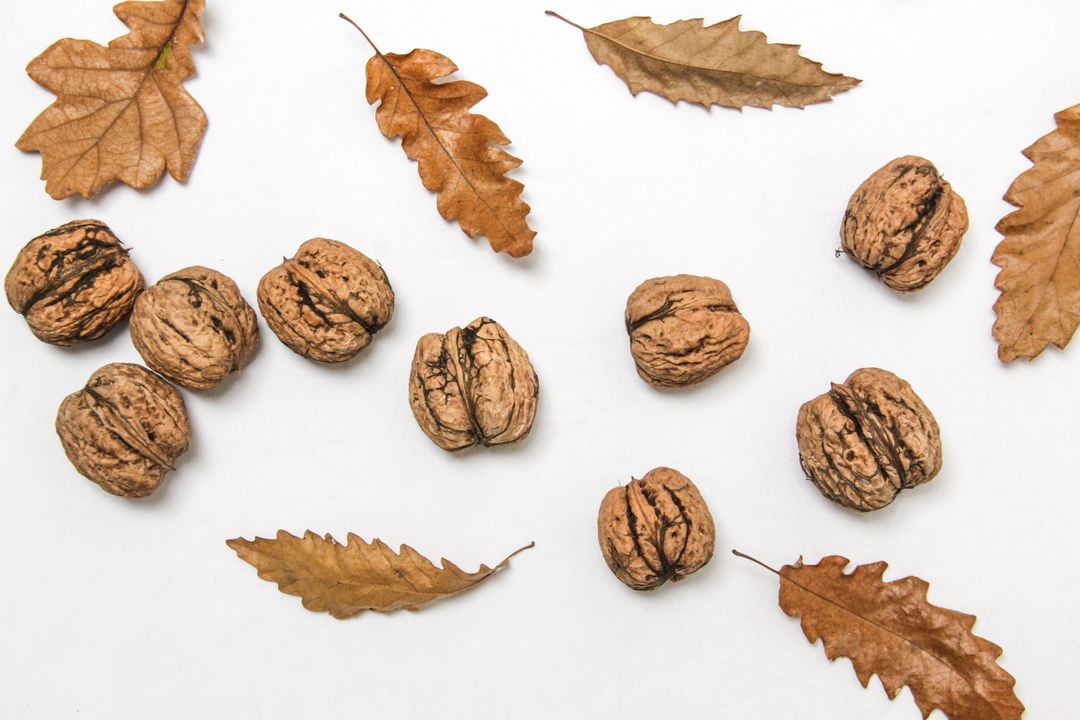 Autumn Leaves and Walnuts on White Background - Free Images, Stock Photos and Pictures on Pikwizard.com