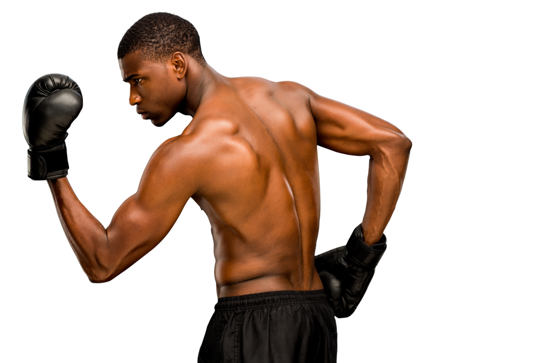 African American Boxer with Boxing Gloves on Transparent Background - Download Free Stock Images Pikwizard.com