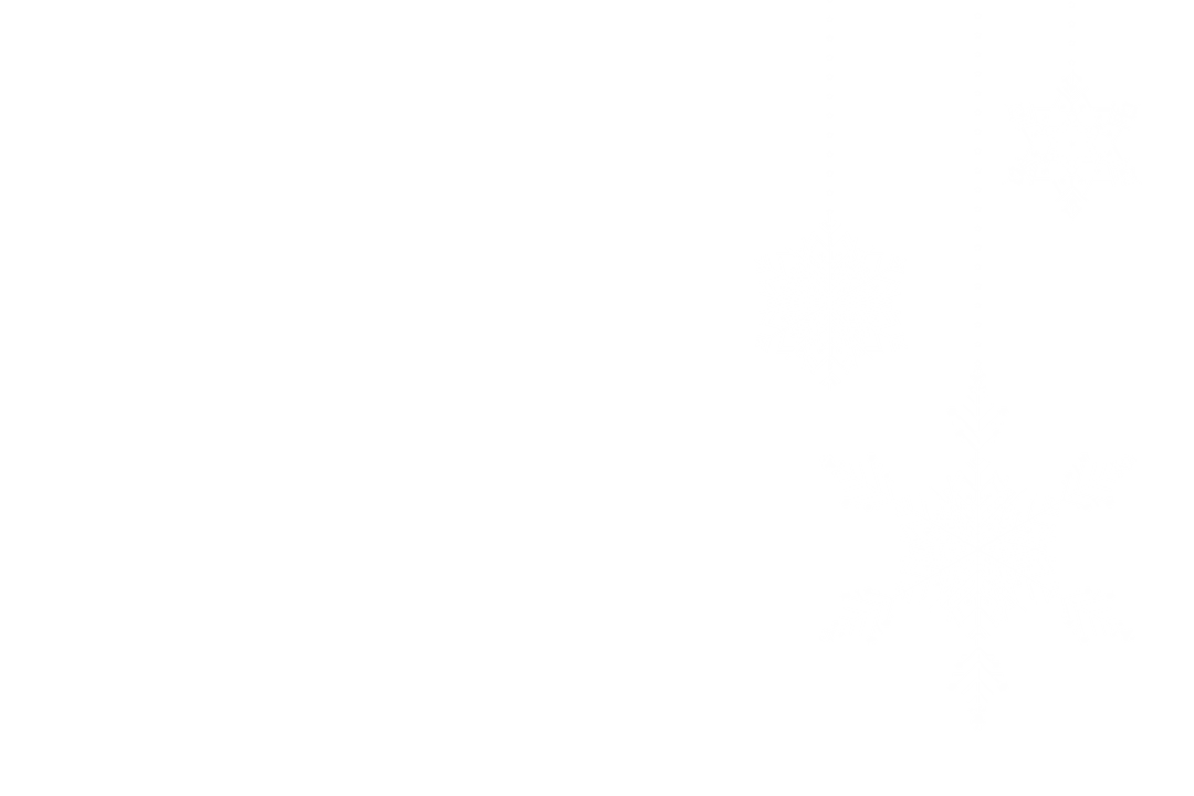 Transparent Hanging Snowflakes with Ample Copy Space