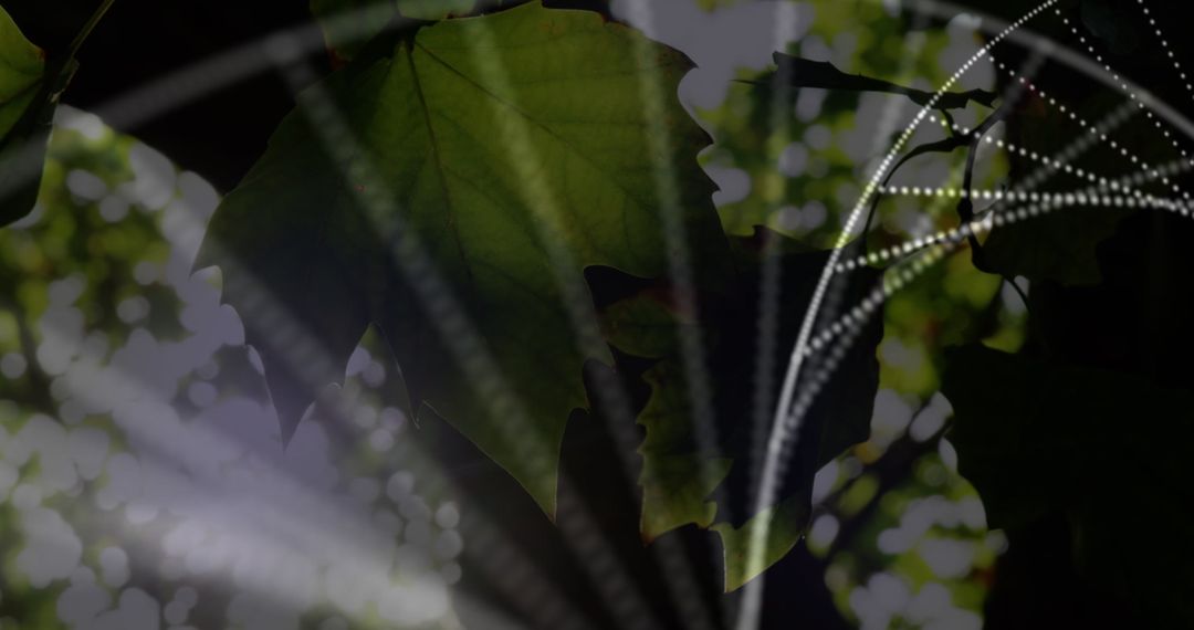 DNA Structure Overlay on Sunlit Leaves