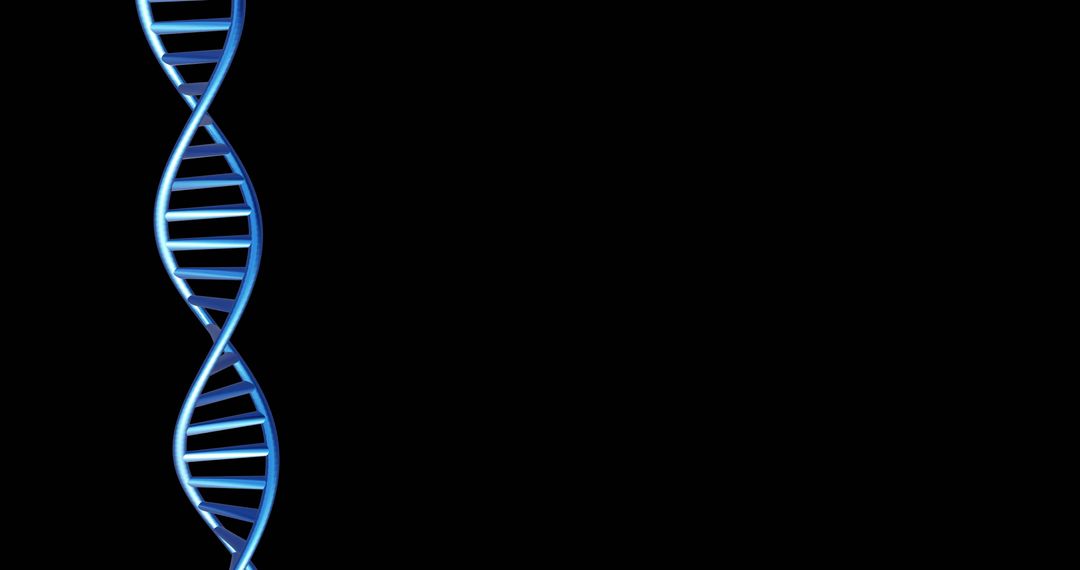 Rotating Blue DNA Strand with Black Background and Space for Copy