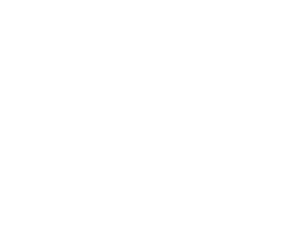 Transparent Silhouette of Schoolchildren Walking to School - Download Free Stock Images Pikwizard.com