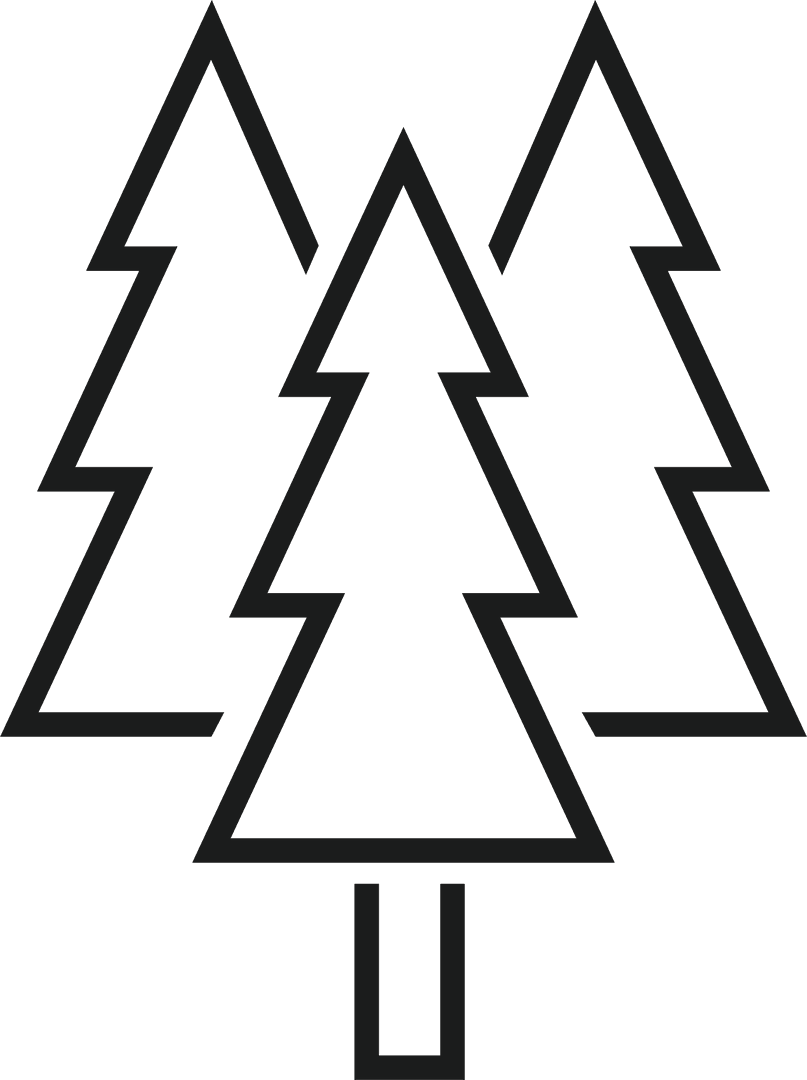 Abstract Minimal Graphic Trees Forest on Transparent Background