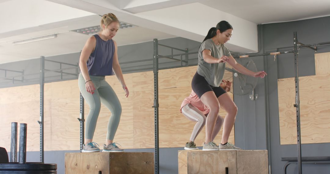 Group of Women Performing Box Jumps during Fitness Training Session - Free Images, Stock Photos and Pictures on Pikwizard.com