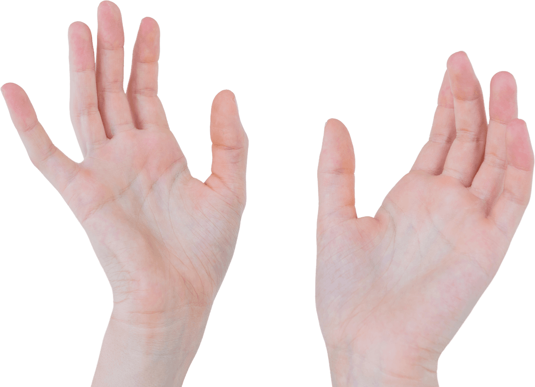 Transparent Hands Raised Open Palms Gesture