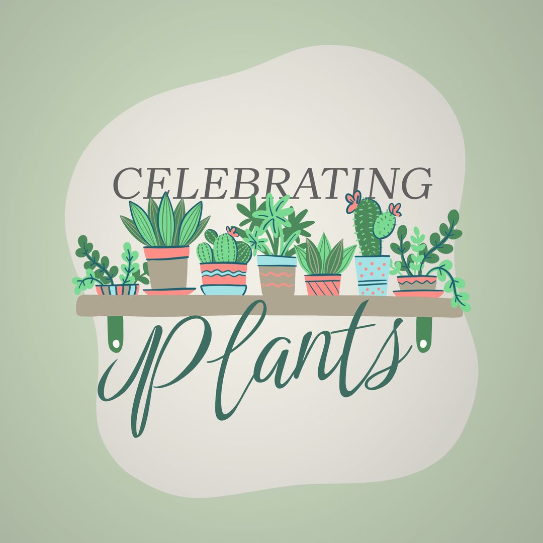 Celebrating Houseplants with Potted Cacti In Home Decor
