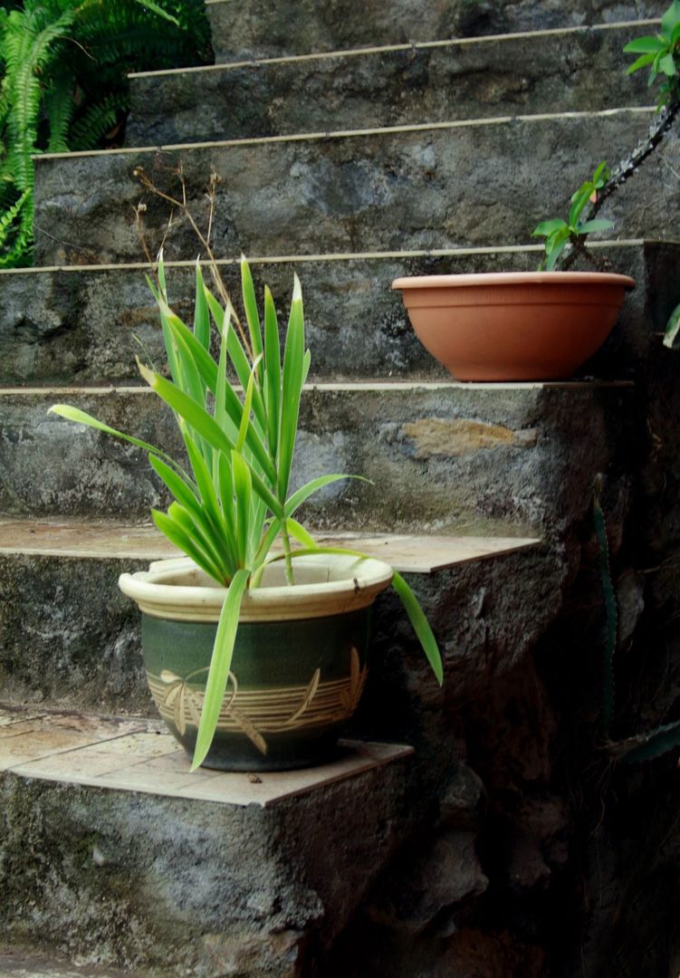 Potted Plants on Stone Staircase Outdoors - Free Images, Stock Photos and Pictures on Pikwizard.com