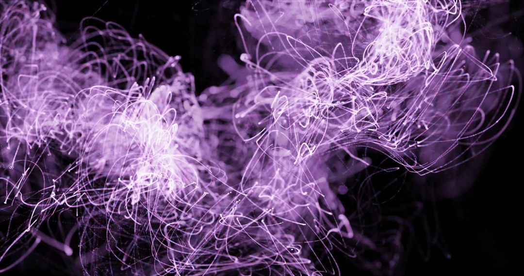 Purple Light Trails and Abstract Patterns