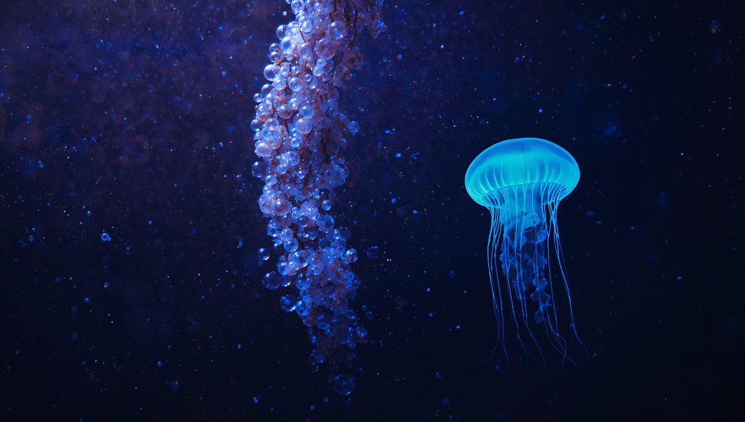 Glowing Jellyfish Floating in Ethereal Deep-Sea Environment