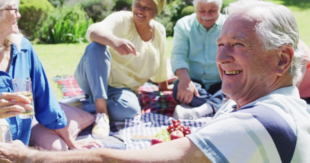 Seniors Enjoying Outdoor Picnic on Sunny Day - Free Images, Stock Photos and Pictures on Pikwizard.com