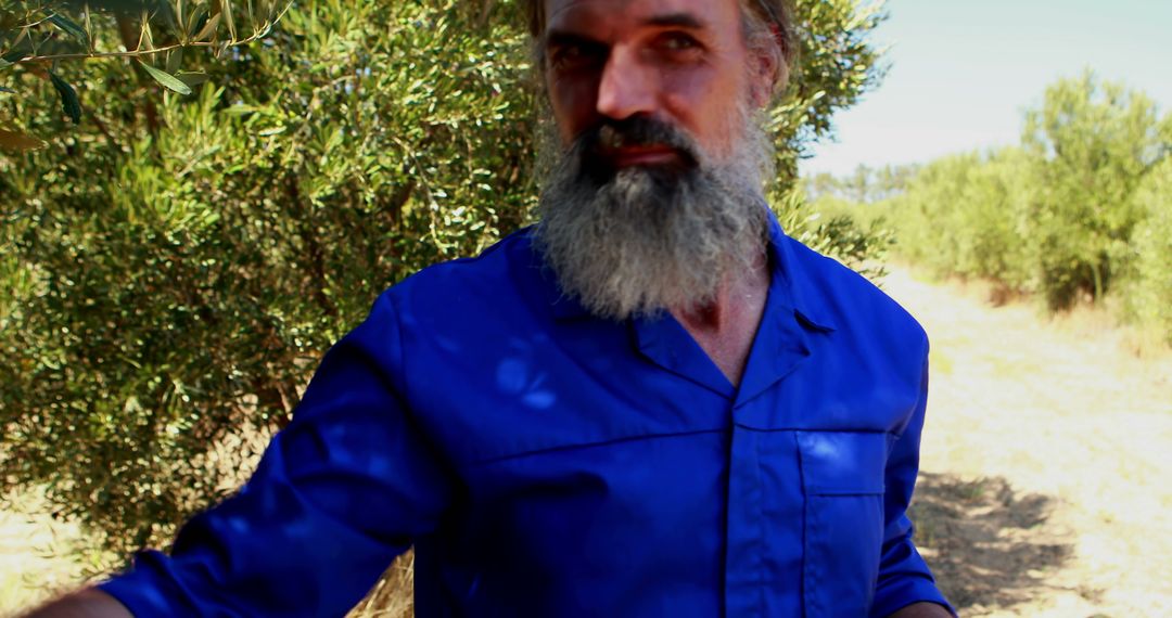 Bearded Farmer Wearing Blue Clothing in Olive Grove - Free Images, Stock Photos and Pictures on Pikwizard.com