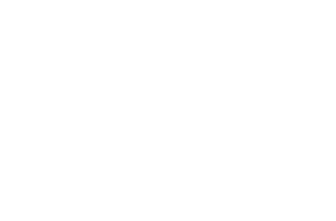 Transparent Silhouette of Two Fencers Engaged in Duel - Download Free Stock Images Pikwizard.com