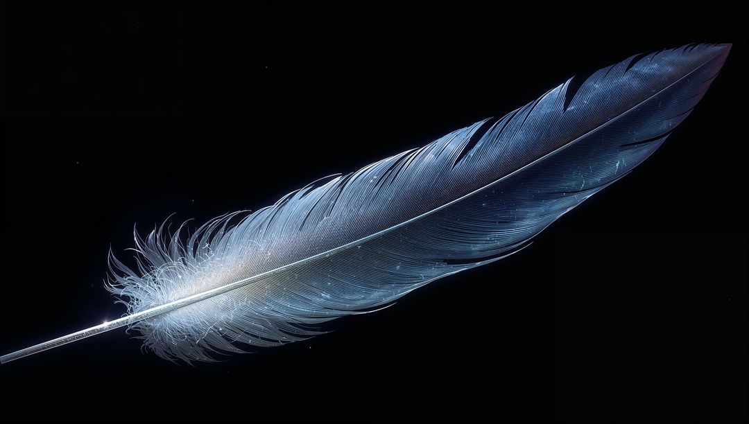 Iridescent Blue Feather on Black Background with Downy Base, Fine Barbs and High Contrast