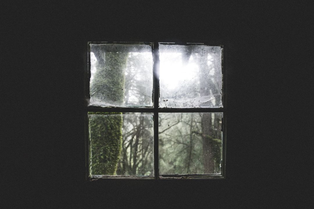 Misty forest peeking through dusty four-pane window, framing moody rustic interior