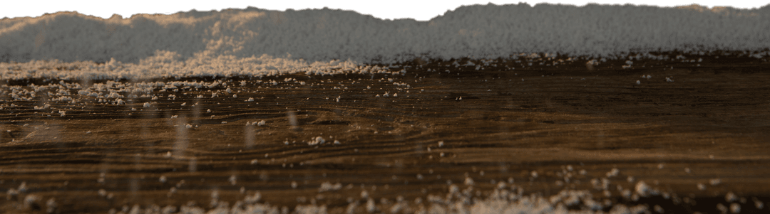 Realistic Wooden Panels with Powder Overlay on Transparent Background