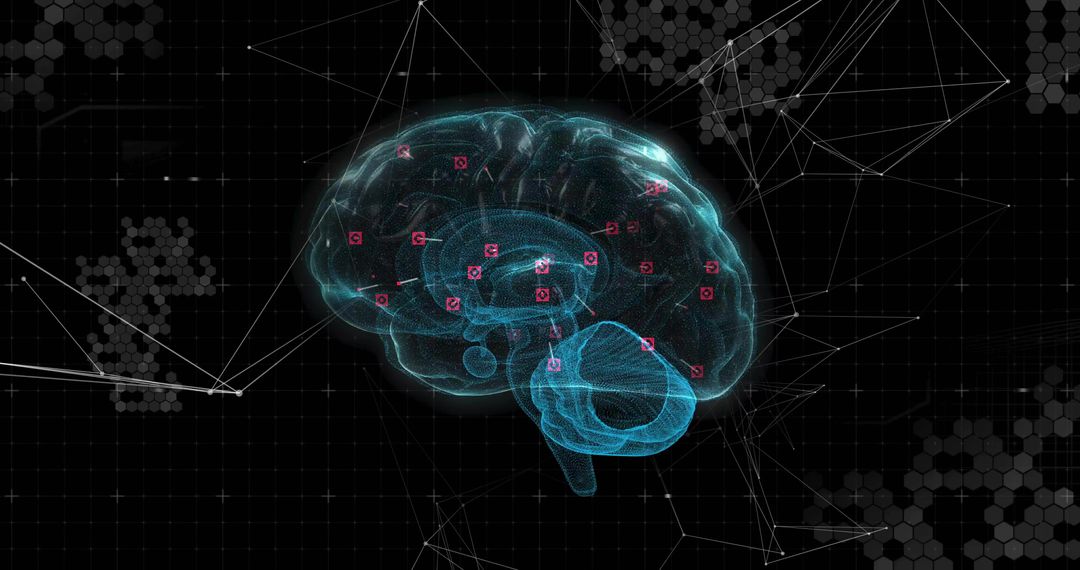 3D Digital Brain Model with Neural Connectivity Insights
