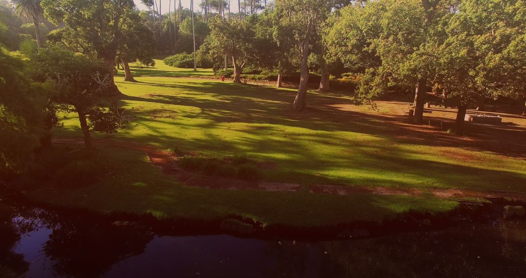 Sunny Park Landscape with Lush Trees and Tranquil Lake