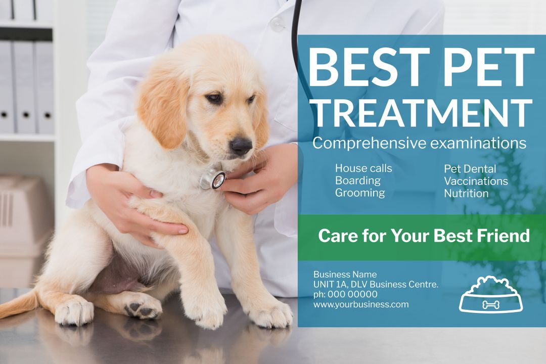 Veterinary Care Consultation with Adorable Puppy