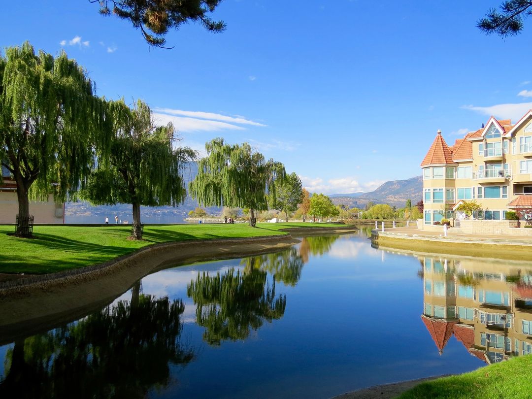 Serene Canal Scene with Willow Trees and Modern Apartment Buildings