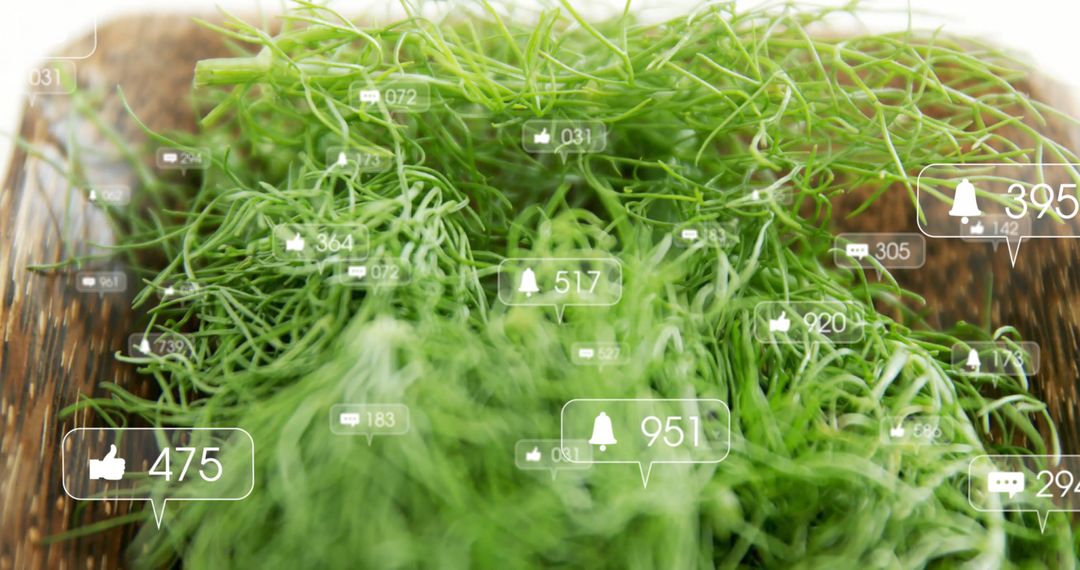 Fresh Herbs with Social Media Icons for Digital Engagement