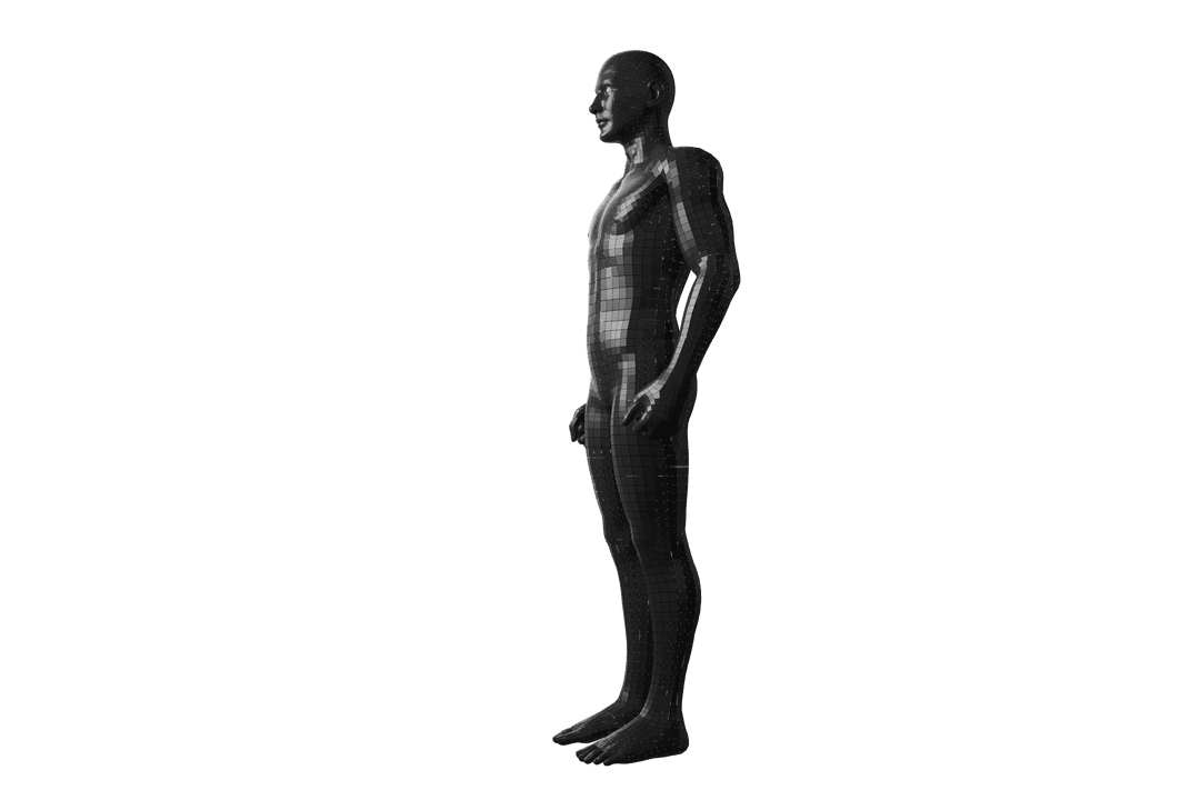 Transparent 3D Model of Man in Profile View
