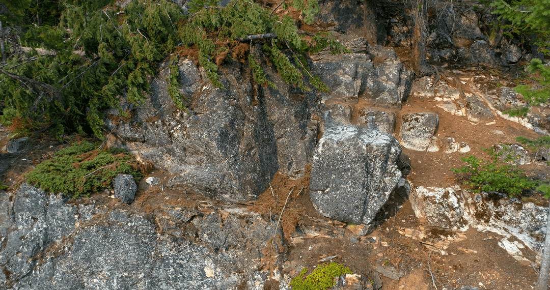 High Angle View of Transparent Foliage on Mountainous Terrain