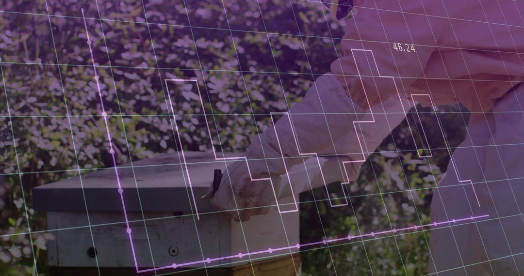 Beekeeper Opening Hive with Data Overlay in Apiary