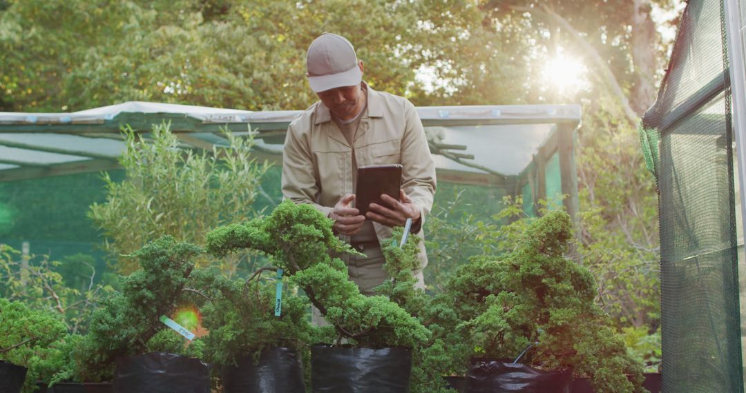 Gardener Using Tablet for Bonsai Management at Nursery