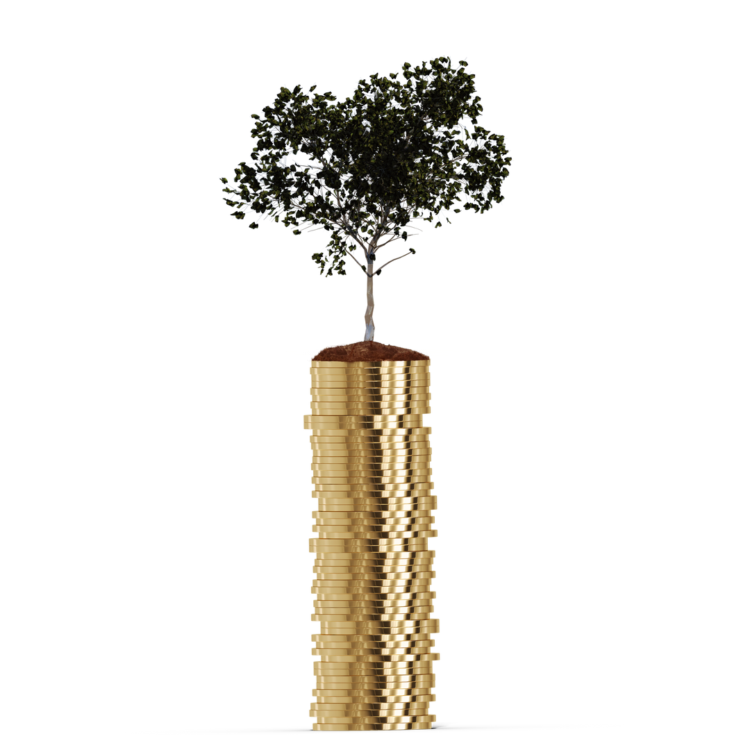 Tree Growing on Stacked Coins Viewed on a Transparent Background - Download Free Stock Images Pikwizard.com