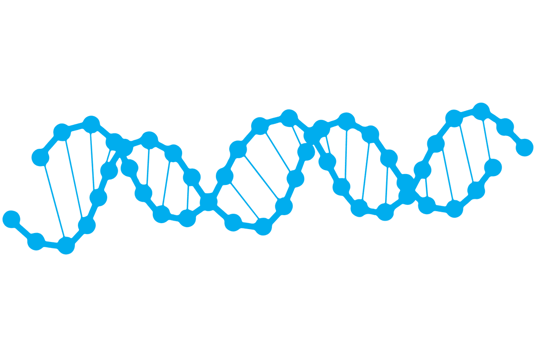 Blue DNA Molecule Structure Illustration on Transparent Background
