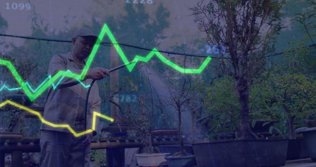 Gardener Nurturing Plants With Data Projection Displayed