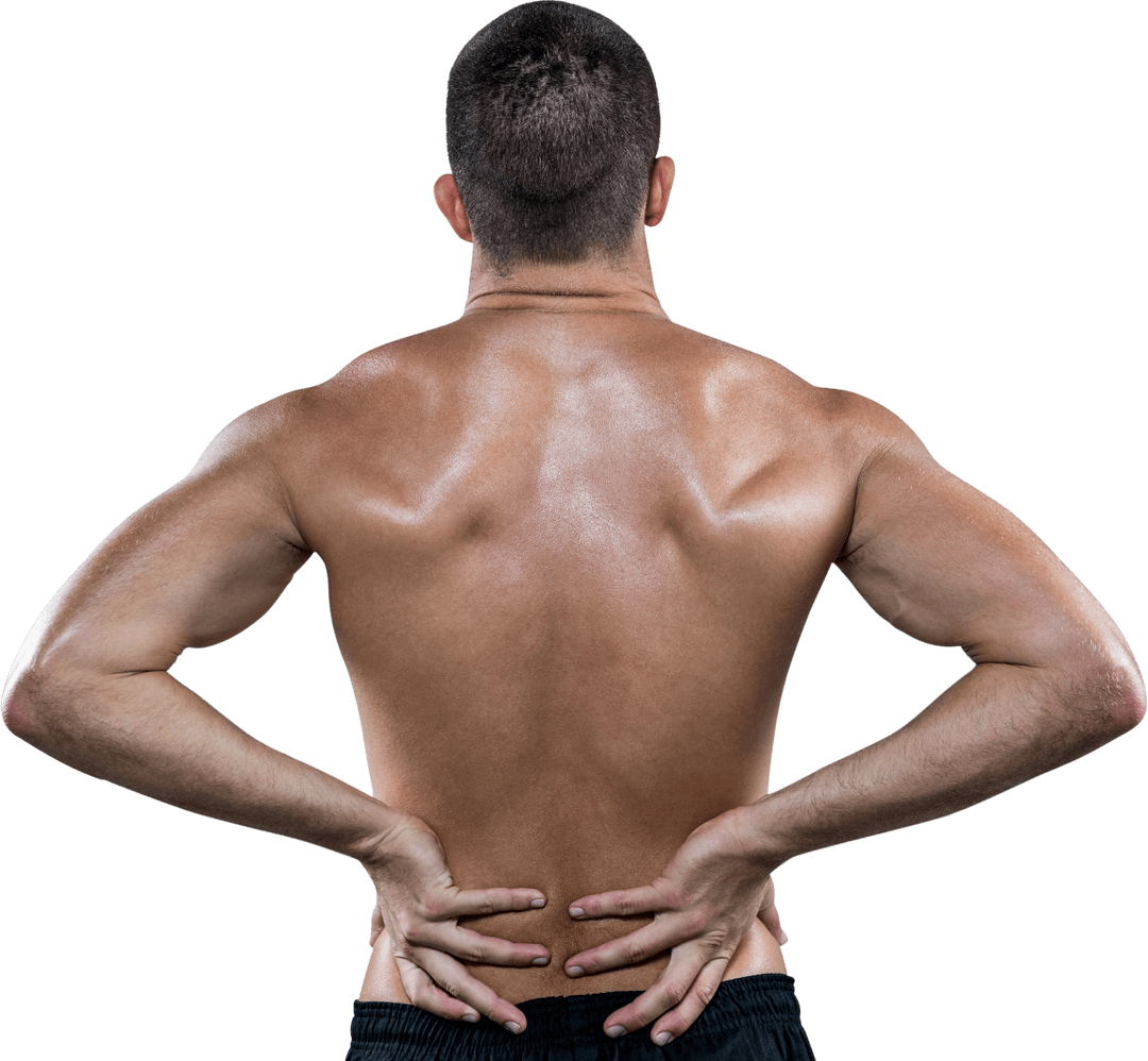 Transparent Rear View of Athlete with Back Pain Displaying Muscular Build