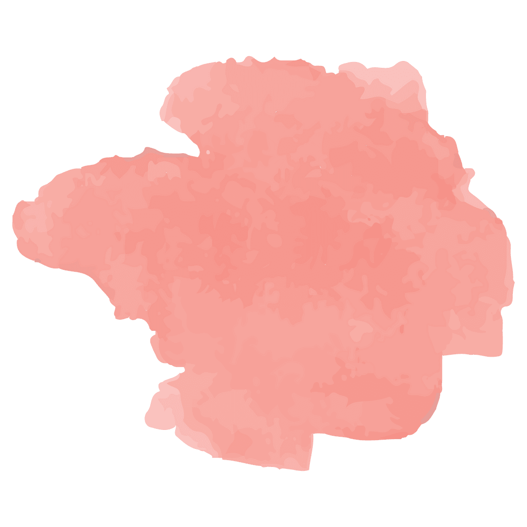 Watercolor Pink Brush Stroke on Transparent Background