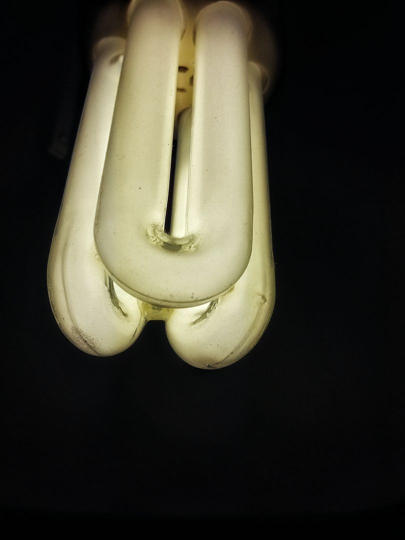 Close-Up of a Cozy Fluorescent Light Bulb in Dim Surroundings - Free Images, Stock Photos and Pictures on Pikwizard.com