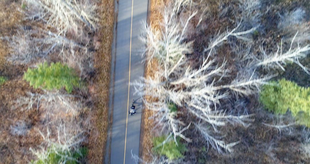 Aerial View of Motorcyclist Riding Through Leafless Forest - Free Images, Stock Photos and Pictures on Pikwizard.com