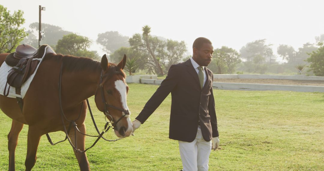 Elegant Horseman Walking Horse in Sunlit Ranch - Free Images, Stock Photos and Pictures on Pikwizard.com