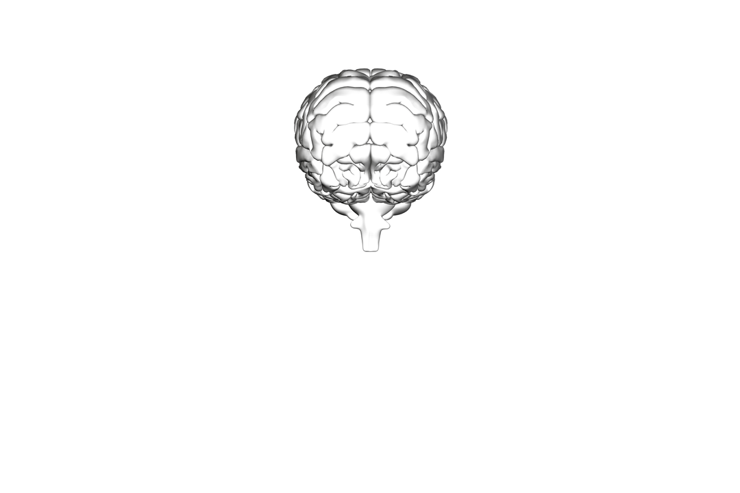 Illustration of Black Brain Symbol on Transparent Background - Download Free Stock Images Pikwizard.com