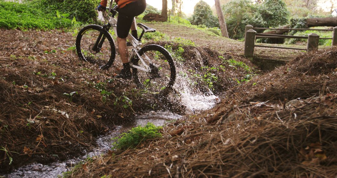 Mountain Biker Splashing Through Forest Stream - Free Images, Stock Photos and Pictures on Pikwizard.com