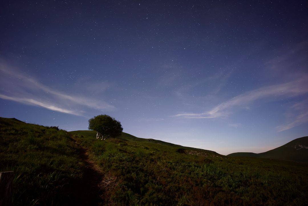 Starry Night Sky Over Hill with Lonely Tree - Free Images, Stock Photos and Pictures on Pikwizard.com