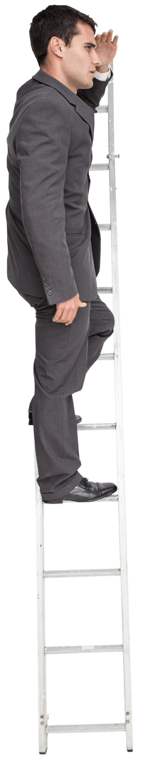 Transparent PNG Businessman Climbing Ladder