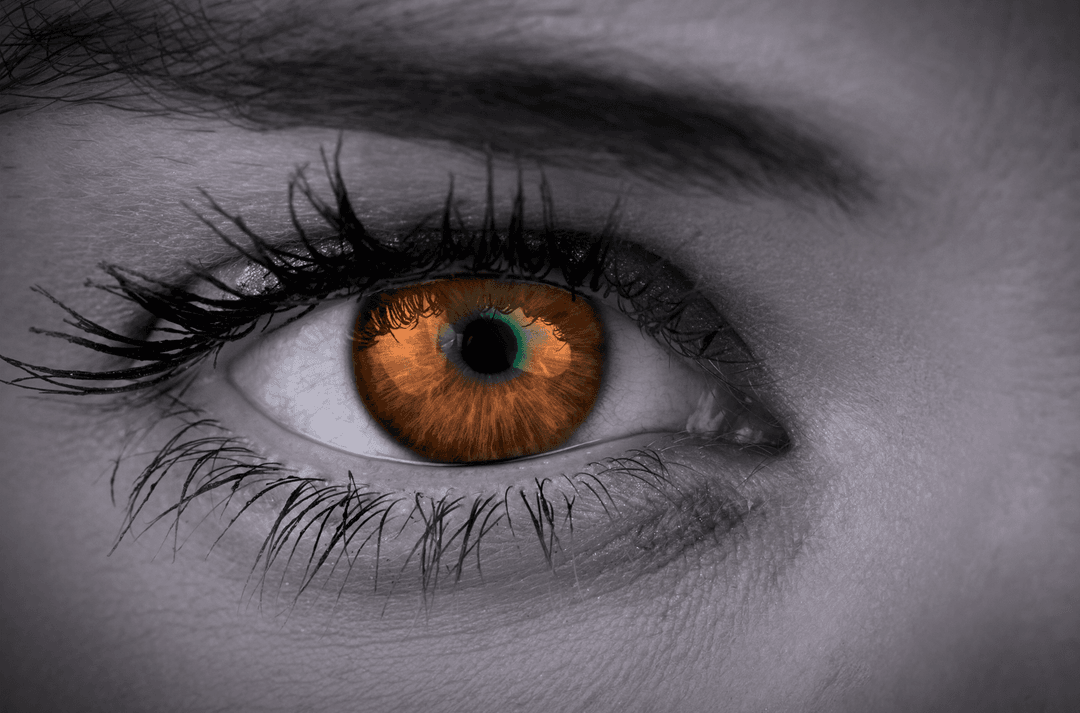 Close-up of Female Eye with Transparent Amber Color Amidst Grey Monochrome
