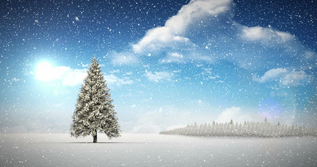 Serene Winter Landscape with Snow and Evergreen Tree