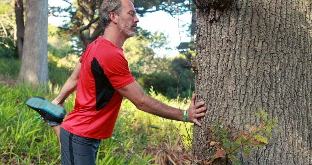 Middle-aged man stretching by tree in park during outdoor exercise - Free Images, Stock Photos and Pictures on Pikwizard.com