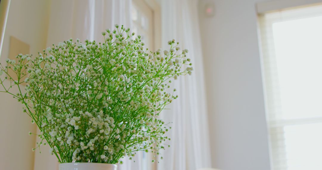 Bright Home Interior with Flower Arrangement in White Vase - Free Images, Stock Photos and Pictures on Pikwizard.com