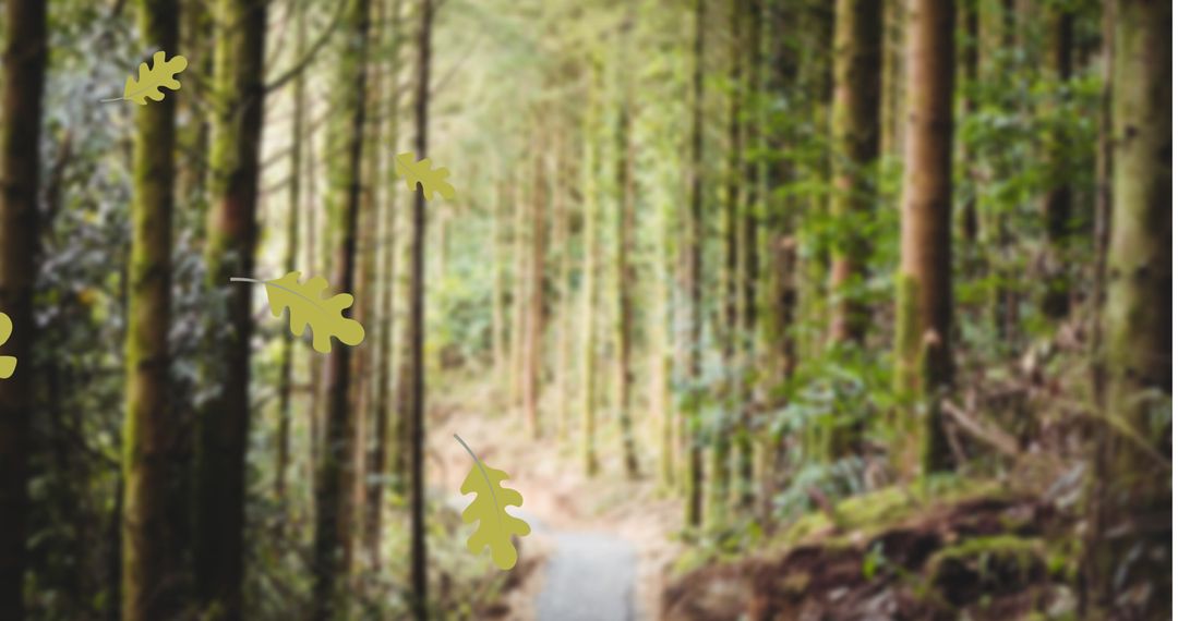 Scenic Forest Pathway with Falling Autumn Leaves