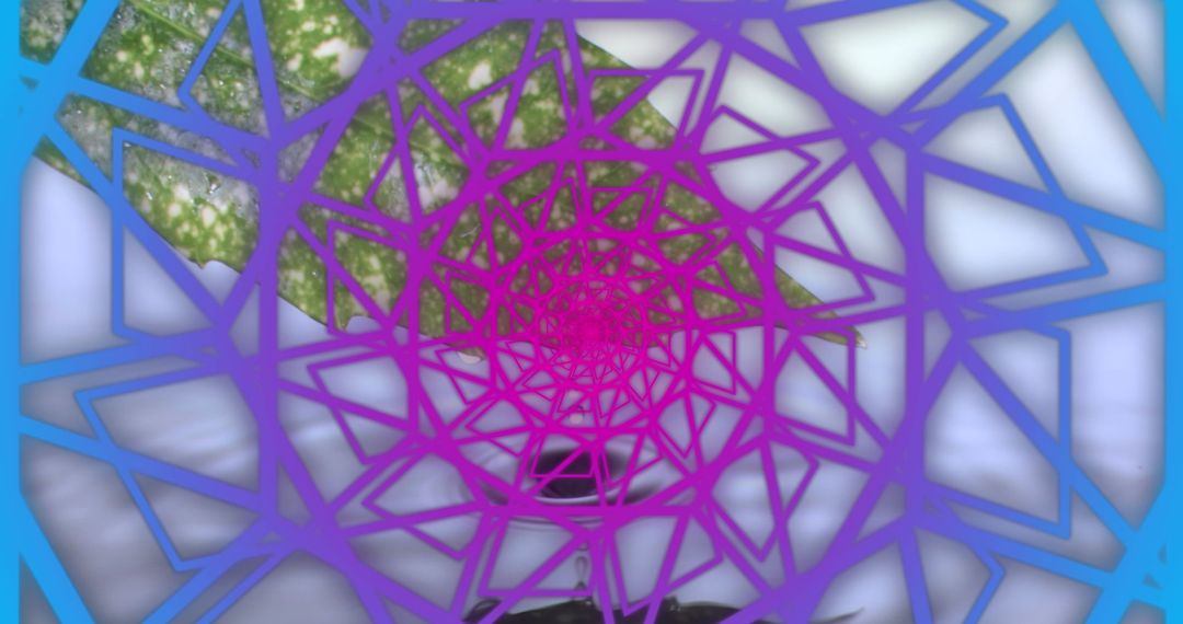 Vibrant Geometric Patterns with Water Ripple Effect