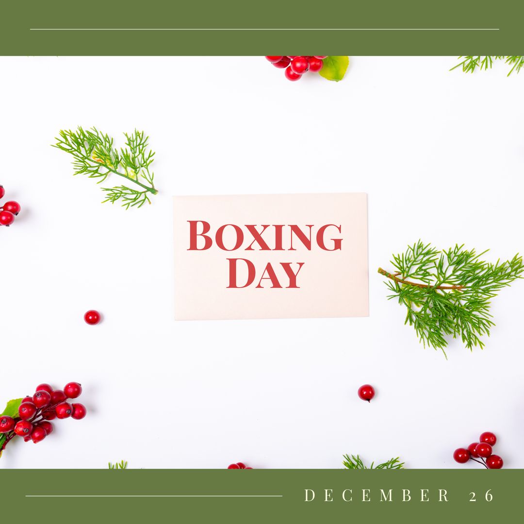 Festive Boxing Day Greeting with Holly and Pine Branches