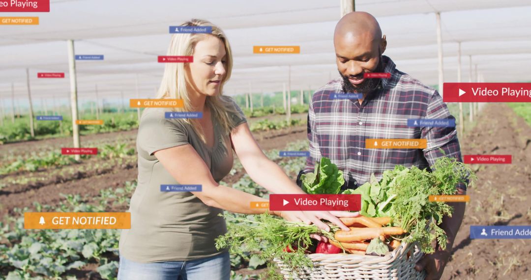 Farmers Harvesting Organic Vegetables Enhancing Efficiency with Technology