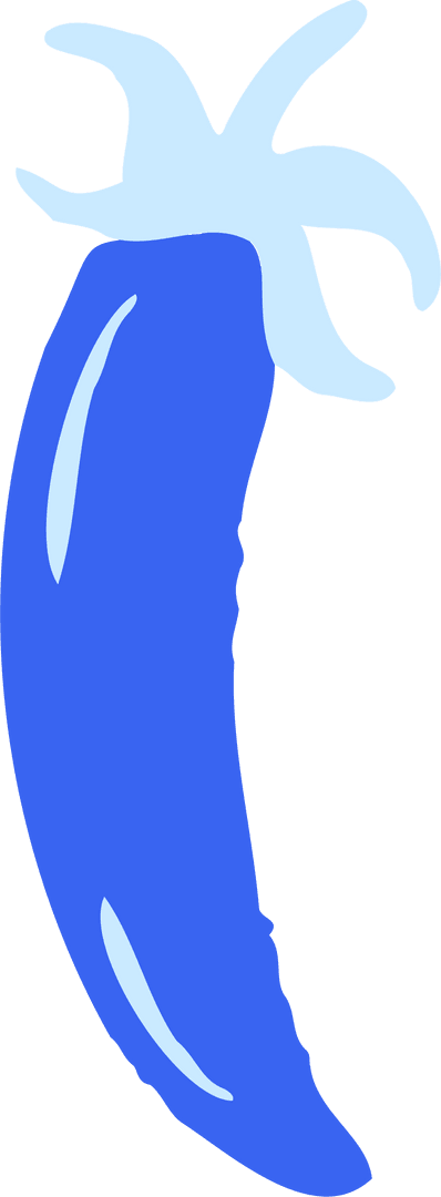 Bright Blue Pepper Vector on Transparent Background for Modern Design