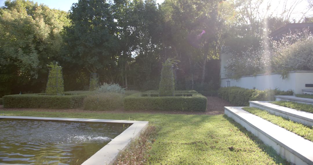 Sunlit Modern Garden with Geometric Hedges and Stepped Design